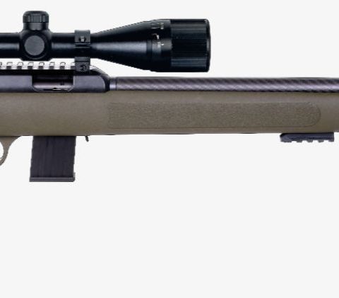 SALONGRIFLE DIANA R-22 CARBON .22LR