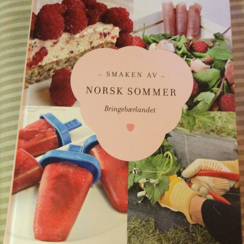 Smaken av Norsk sommer bringebærlandet