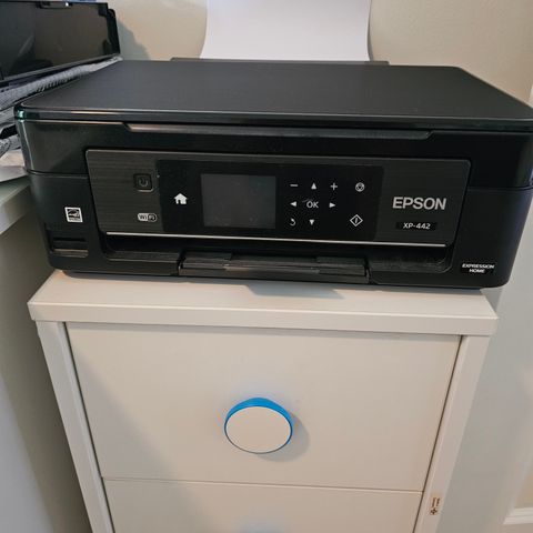 Epson fargeprinter