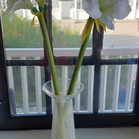 Vase med store blomster