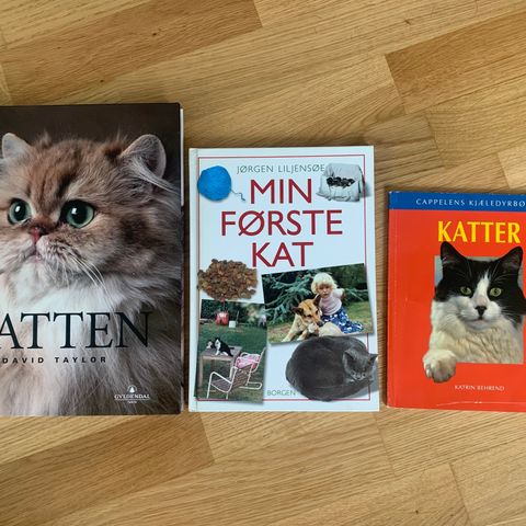 3 bøker om katter