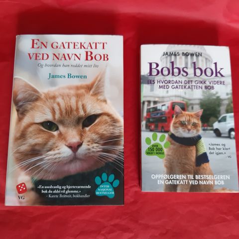 En gatekatt ved navn Bob / Bobs bok