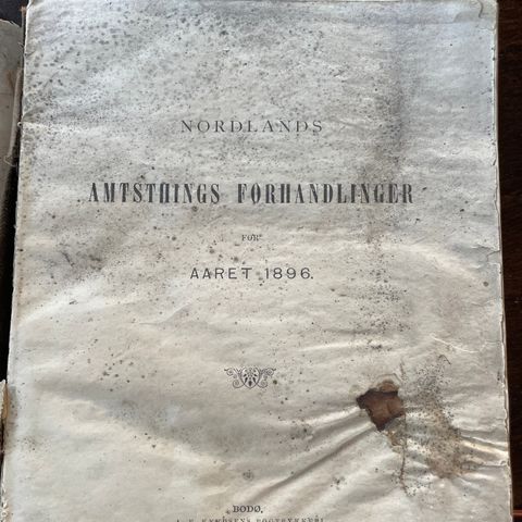 Nordlands Amtsthings forhandlinger 1896