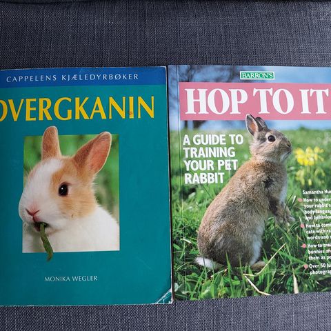 Bøker om kanin