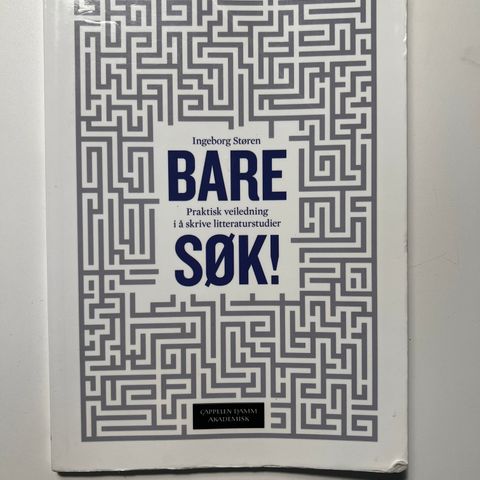 Bare søk - Praktisk veiledning i å skrive litteraturstudier