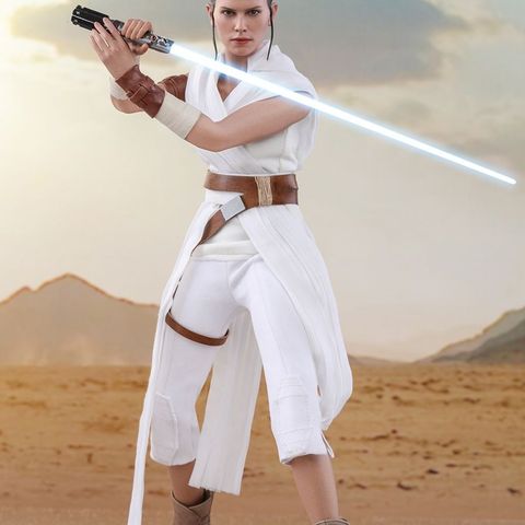 Hot Toys Star Wars: The Rise of Skywalker – Rey and D-O