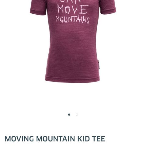 Devold Moving Mountain t-skjorte i merinoull