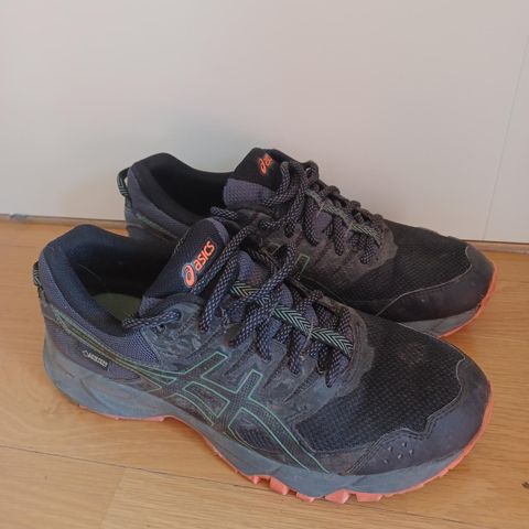 Asics Gore-Tex sko str 39.5