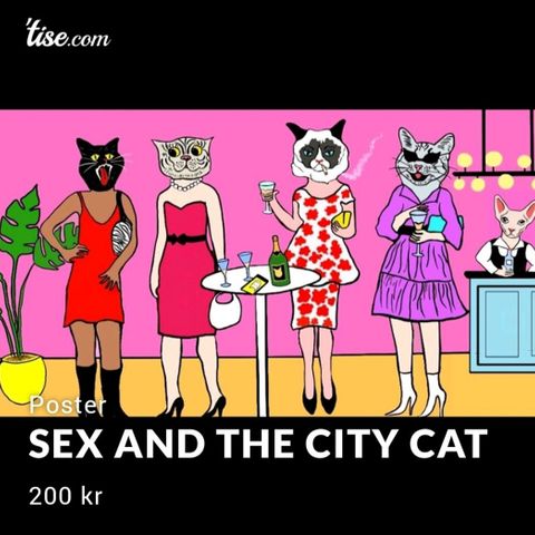 Sex &city cat/poster