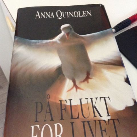 PÅ FLUKT FOR LIVET-ANNA QUINDLEN