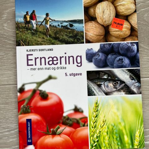 Ernæring - mer enn mat og drikke