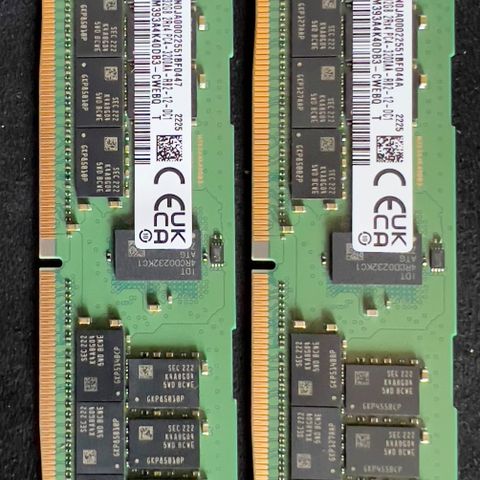 Samsung 64 GB RDIMM ECC Registered CL22 288-Pin (2x32GB)