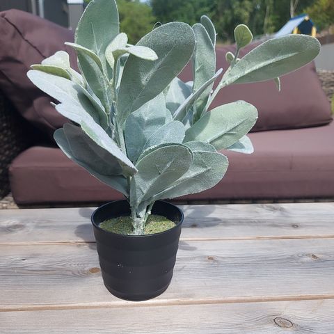 Kunstig plante 30 cm (lammeøre)