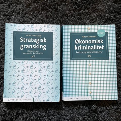 Strategisk gransking og Økonomisk kriminalitet