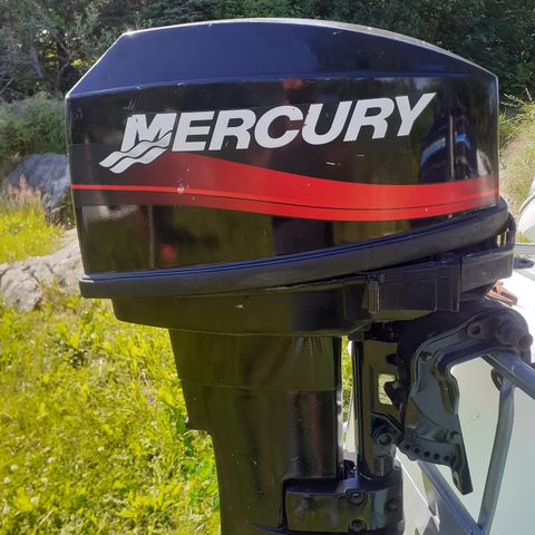 Mercury/mariner 25