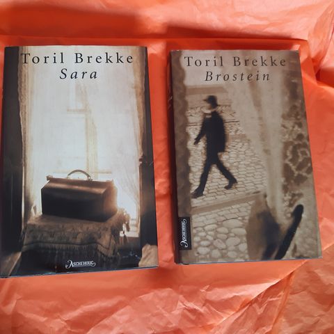 Toril Brekke: Bøker