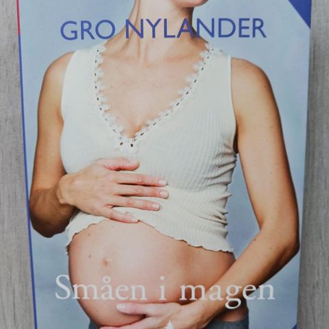 Småen i magen av Gro Nylander