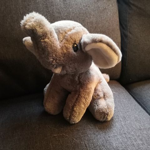 Elefant bamse