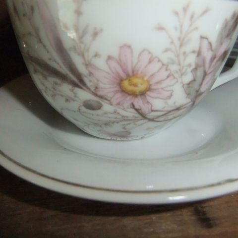Porsgrunn  P. Nydelig gammel kopp med skål.