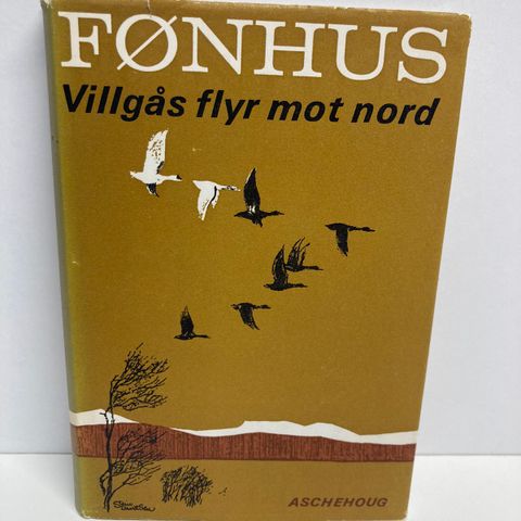 Villgås flyr mot nord. Av Mikkjel Fønhus