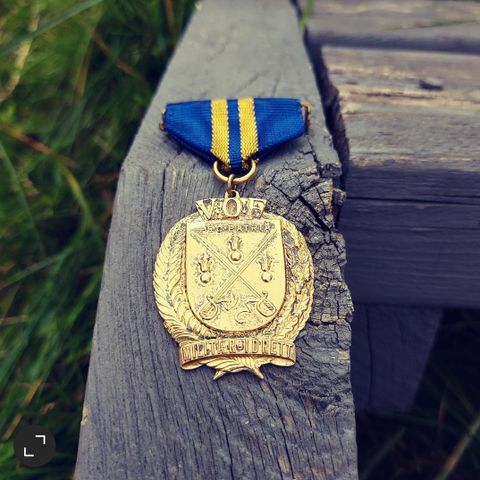 Det Militære Feltidrettsmerket medalje i sølv