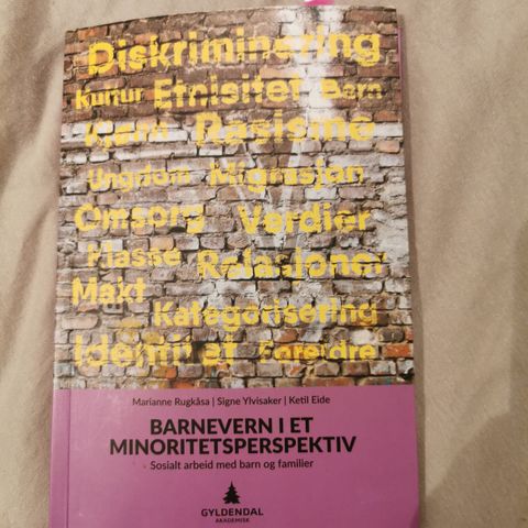 Barnevernet i et minoritetsperspektiv