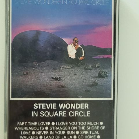 STEVIE WONDER.