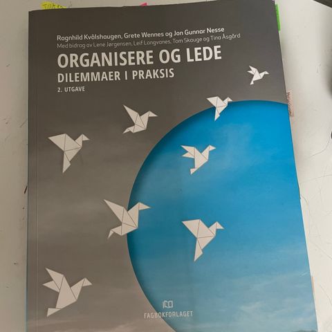 Organisere og lede - dilemmaer i praksis