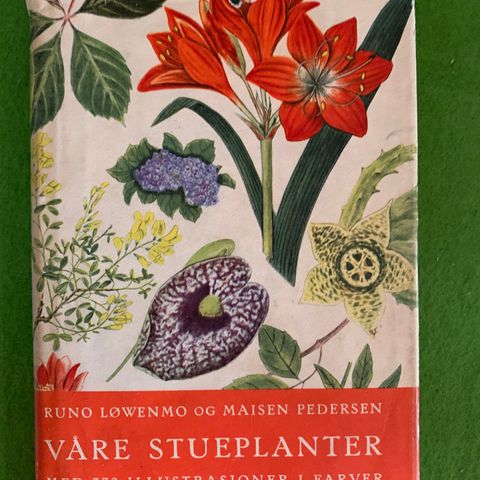 Våre stueplanter. (1955) Med 372 illustrasjoner i farver