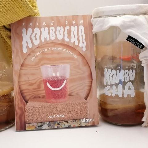 Kombucha Scooby - kan sendes + liten "how to start" guide