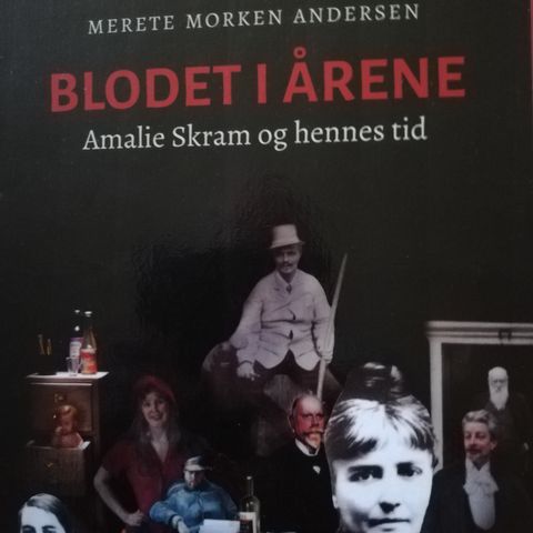 Blodet i årene.  Amalie Sklram og hennes tid