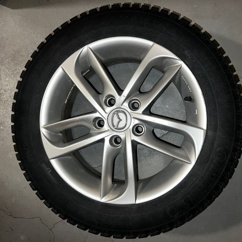 Vinterdekk med pigg og lettmetallfelg  205/55 R16 94T