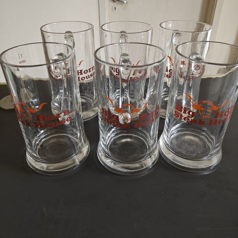 6 stk BigHorn glass