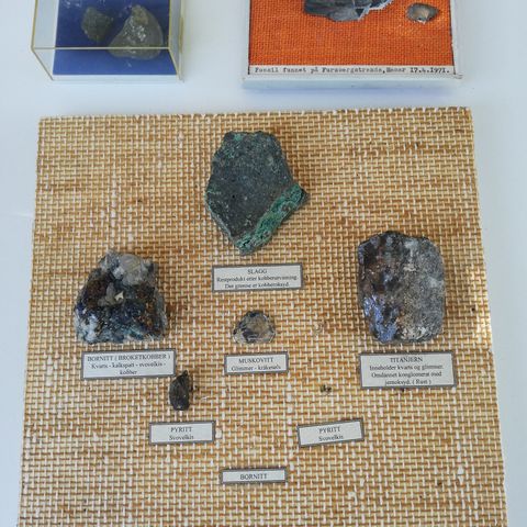 MINERALER/ FOSSILER