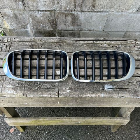 Grill BMW X3 2015