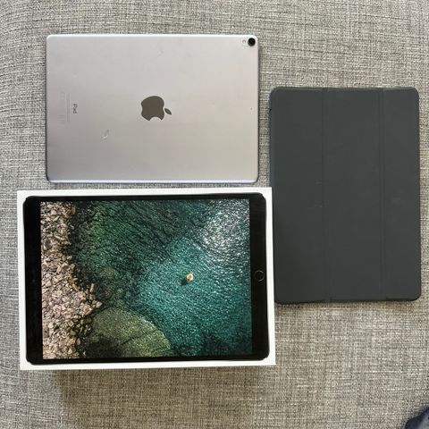 Kraftig iPad Pro 10.5", 64GB - Stellargrå - A1701