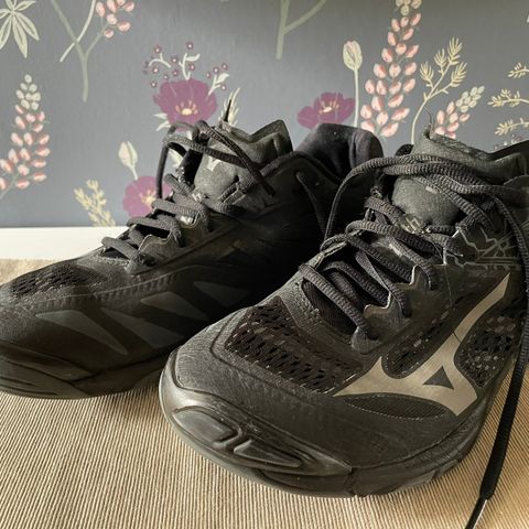 Mizuno Pownc innesko str 43 selges