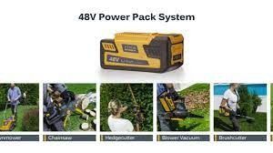 STIGA 48V (PowerPack) batteri ønskes kjøpt