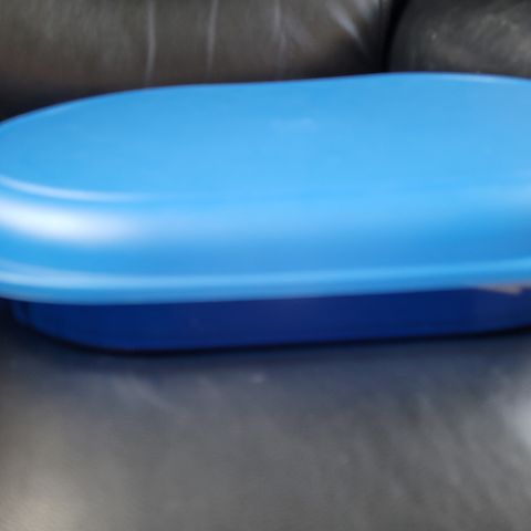 Tupperware ovalt fat