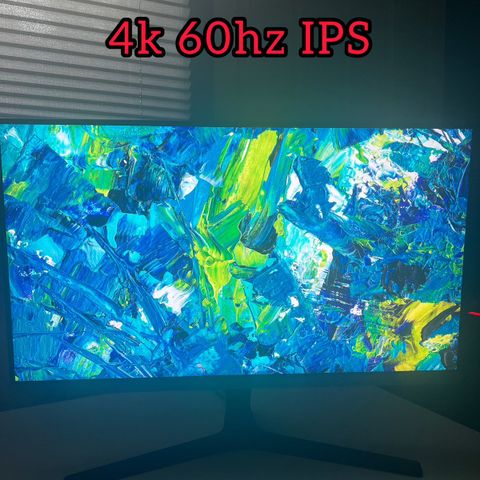 4K 60HZ Monitor // Samsung LU28R55 // (SDR) // 28”