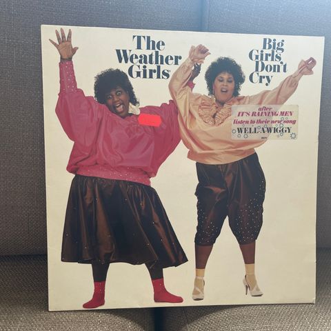 The Weather Girls – Big Girls Don't Cry