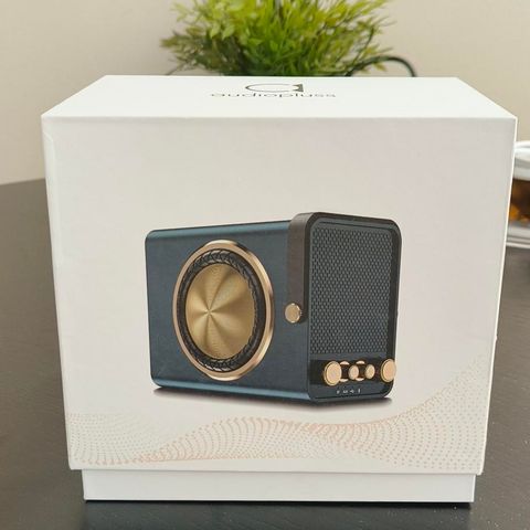 Ny Audiopluss Retro Portable