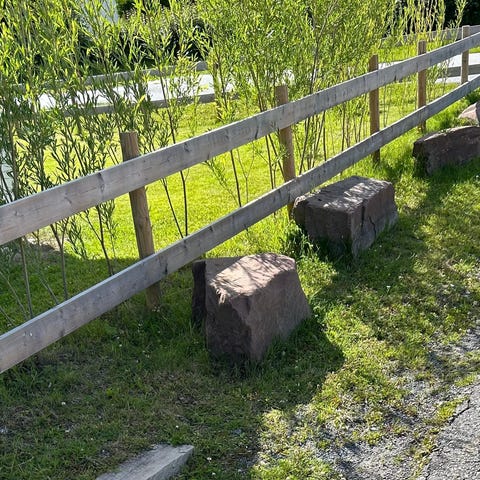 Annonsebilde