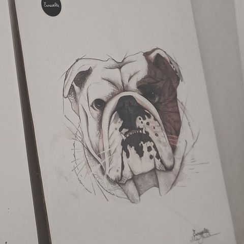 English Bull dog Kunst