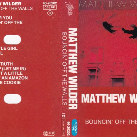 Matthew Wilder - Bouncin' off the walls