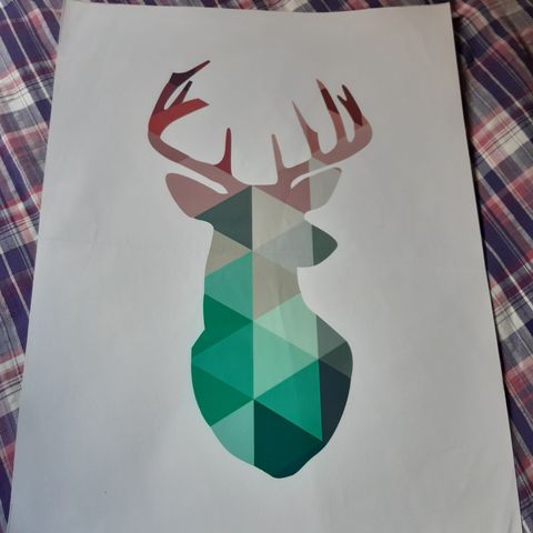 Canvas-plakat av hjort