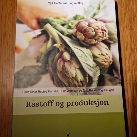 Råstoff og produksjon (nynorsk)