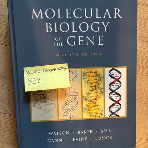 Molecular Biology of the Gene