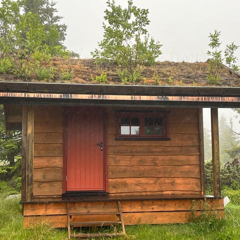 Annonsebilde