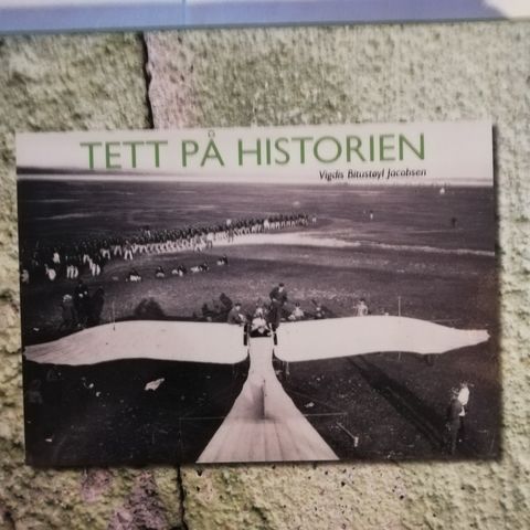 Tett på historien.  Norges første flyfabrikk, fly og flyvning